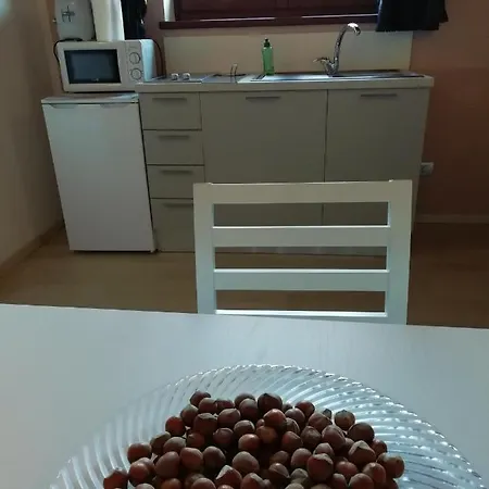 Vite Dipinte 1 Bilocale In Langa