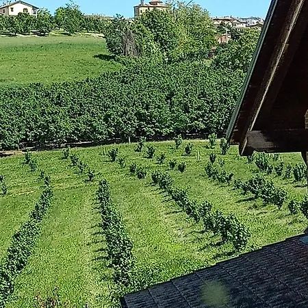 Vite Dipinte 1 Bilocale In Langa *