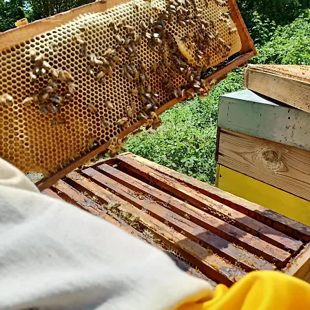 Vite Dipinte 1 Bilocale In Langa Appartamento