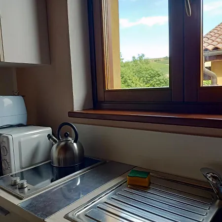 Vite Dipinte 1 Bilocale In Langa *
